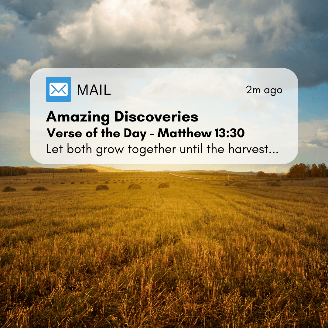 Daily Bible Verse Project